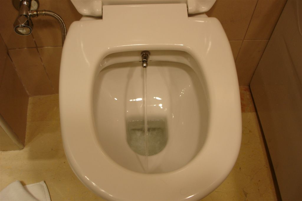 Combined Bidet Toilets, Turkish Bidet Toilets